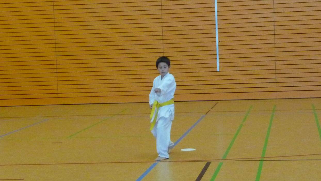 kempo-karate-cup-2013-011